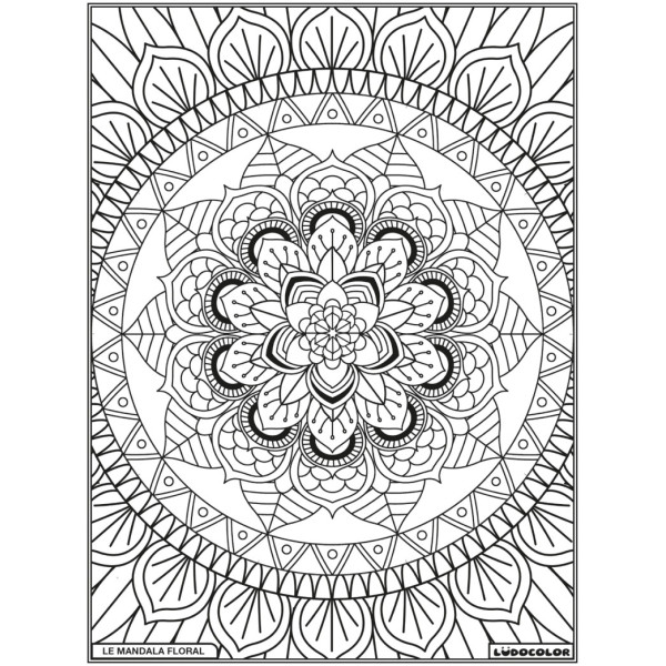 Coloriage - Mandala floral - Tableau à colorier - Avec contours velours noir - Dès 3 ans
