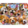 photo-Puzzle - Animaux - Chiens et chiots - Selfie - 1000 pièces - Dès 14 ans - Educa
