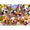 Puzzle - Animaux - Chiens et chiots - Selfie - 1000 pièces - Dès 14 ans - Educa