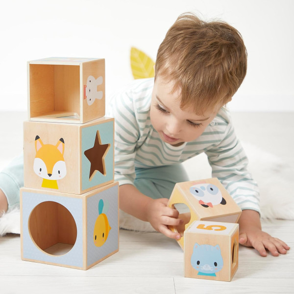 Jeux d'éveil - Cubes à empiler - Bois - Assortiments de 6 tailles et modèles - Dès 6 mois - Janod