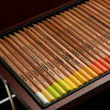 Crayons de couleur - Aquarelle - Haute qualité - 96 couleurs + accessoires - Coffret bois - Beaux-arts - Lyra