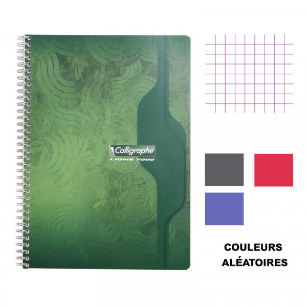 Cahier - A4 (21x29,7cm) - Petits carreaux - 100 pages - couverture en carton - à spirale - Clairefontaine - Calligraphe