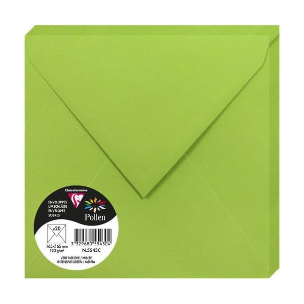 photo-Enveloppes - Carré - 165x165mm - Pollen - Vert menthe - 20 unités - Clairefontaine