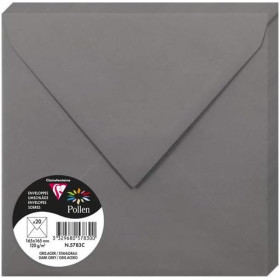 photo-Enveloppes - Carré - 165x165mm - Pollen - Gris acier - 20 unités - Clairefontaine