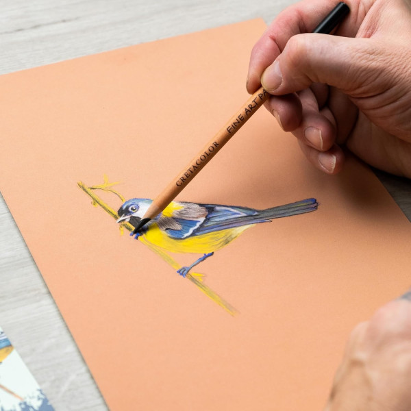 Crayons pastel - 5 couleurs + estompe + gomme mie de pain - Cretacolor Fine Art