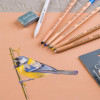 Crayons pastel - 5 couleurs + estompe + gomme mie de pain - Cretacolor Fine Art