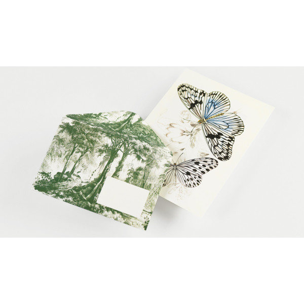 Coffret de correspondance - Papier à lettres + enveloppes + autocollants - Natural History