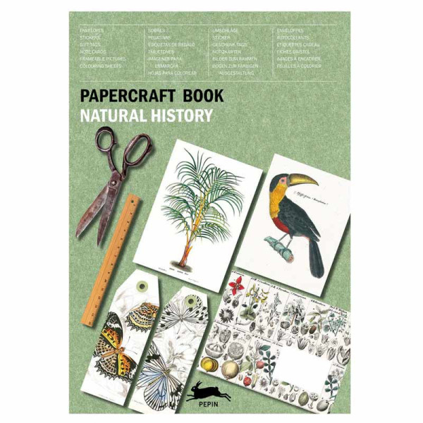 photo-Carnet de scrapbooking - Nature, insectes, plantes - Cartes, enveloppes, autocollants - Pepin