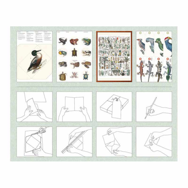 Carnet de scrapbooking - Nature, insectes, plantes - Cartes, enveloppes, autocollants - Pepin