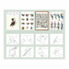 Carnet de scrapbooking - Nature, insectes, plantes - Cartes, enveloppes, autocollants - Pepin