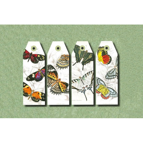 Carnet de scrapbooking - Nature, insectes, plantes - Cartes, enveloppes, autocollants - Pepin