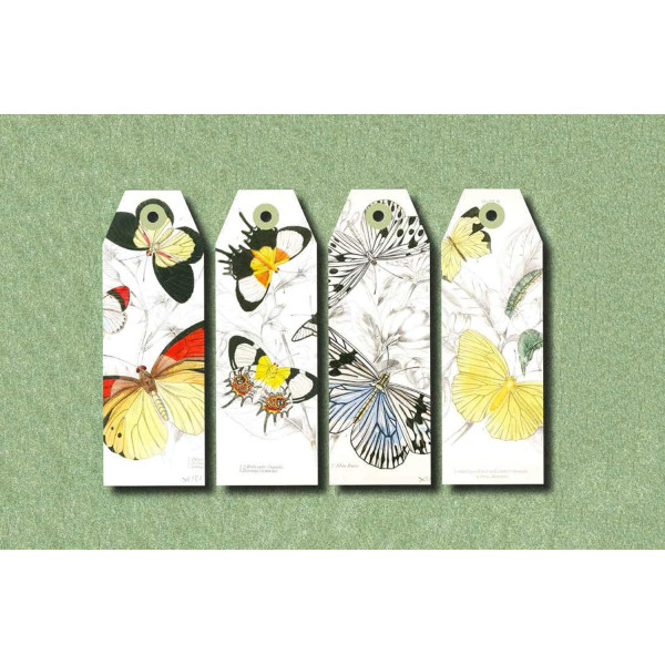 Carnet de scrapbooking - Nature, insectes, plantes - Cartes, enveloppes, autocollants - Pepin