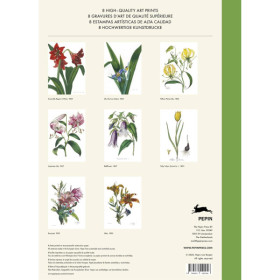 Estampes - 8 reproductions de fleurs - 42x30cm - Haute qualité - Affiches