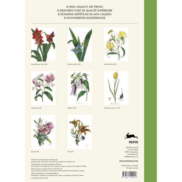 Estampes - 8 reproductions de fleurs - 42x30cm - Haute qualité - Affiches