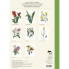 Estampes - 8 reproductions de fleurs - 42x30cm - Haute qualité - Affiches