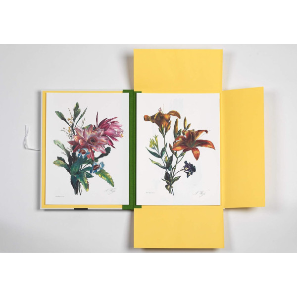 Estampes - 8 reproductions de fleurs - 42x30cm - Haute qualité - Affiches