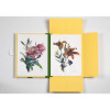 Estampes - 8 reproductions de fleurs - 42x30cm - Haute qualité - Affiches