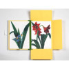Estampes - 8 reproductions de fleurs - 42x30cm - Haute qualité - Affiches