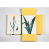 Estampes - 8 reproductions de fleurs - 42x30cm - Haute qualité - Affiches