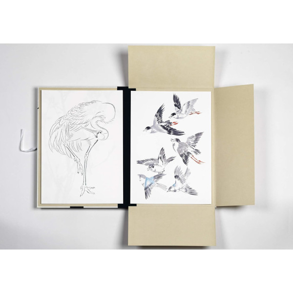 Estampes japonaises - 8 reproductions d'oiseaux - 42x30cm - Haute qualité - Affiches