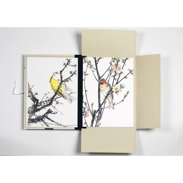 Estampes japonaises - 8 reproductions d'oiseaux - 42x30cm - Haute qualité - Affiches