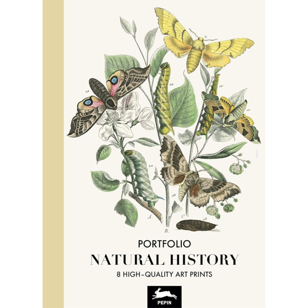 photo-Estampes - 8 reproductions fleurs et insectes - 42x30cm - Haute qualité - Affiches