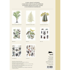 Estampes - 8 reproductions fleurs et insectes - 42x30cm - Haute qualité - Affiches