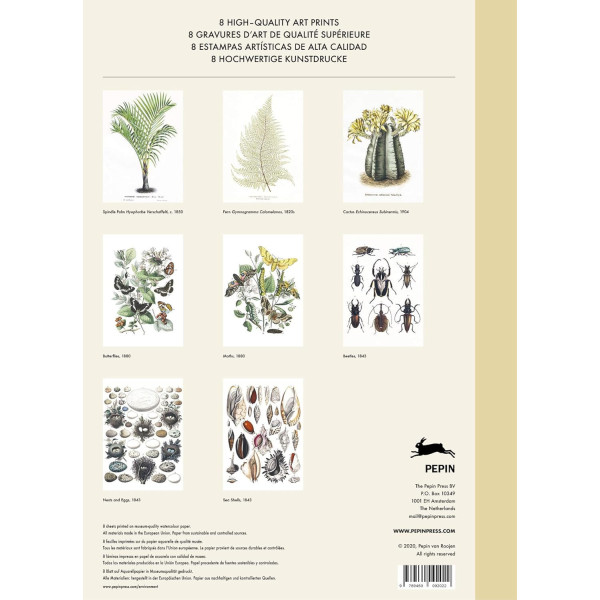 Estampes - 8 reproductions fleurs et insectes - 42x30cm - Haute qualité - Affiches
