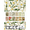 Papiers créatifs - Imprimés floraux - Scrapbooking - 12 feuilles - 50x70cm