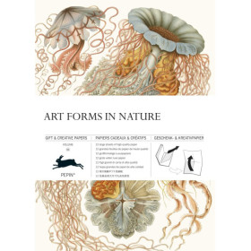 photo-Papiers créatifs - Illustrations fonds marins - Scrapbooking - 12 feuilles - 50x70cm