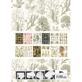 Papiers créatifs - Illustrations fonds marins - Scrapbooking - 12 feuilles - 50x70cm
