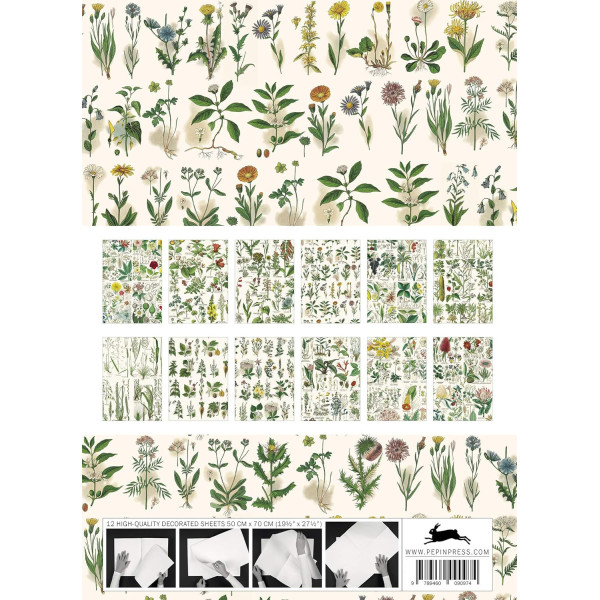 Papiers créatifs - Illustrations fleurs et plantes - Scrapbooking - 12 feuilles - 50x70cm