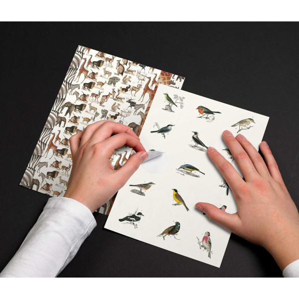 Livret d'étiquettes et stickers - Animaux et oiseaux - Scrapbooking - 32 feuilles - 250 étiquettes