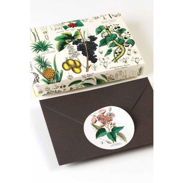 Livret d'étiquettes et stickers - Plantes, fruits, fleurs - Scrapbooking - 32 feuilles - 250 étiquettes