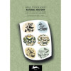 photo-Livret d'étiquettes et stickers - Insectes et nature - Scrapbooking - 32 feuilles - 250 étiquettes
