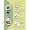 Livret d'étiquettes et stickers - Insectes et nature - Scrapbooking - 32 feuilles - 250 étiquettes