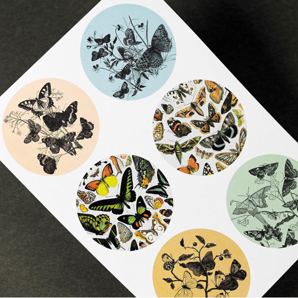 Livret d'étiquettes et stickers - Insectes et nature - Scrapbooking - 32 feuilles - 250 étiquettes