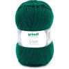 10 pelotes de laine - Vert sapin - 16 - 100% acrylique - 3,5/4,5 mm - Gründl - Lisa Premium