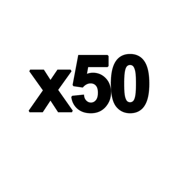 50 Pochettes Perforées Grainées A4 -Exacompta