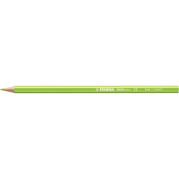 Etui carton de 12 crayons de couleur STABILO GREENcolors ARTY