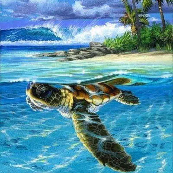Peinture par numéro - Tortue détendue - 40x50cm - Toile + pinceaux + peinture - Complexe - Figured'Art