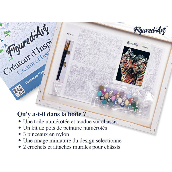 Peinture par numéro - Zèbres colorés - 40x50cm - Toile + pinceaux + peinture - Facile - Figured'Art