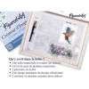 Peinture par numéro - Perroquet coloré - 40x50cm - Toile + pinceaux + peinture - Complexe - Figured'Art