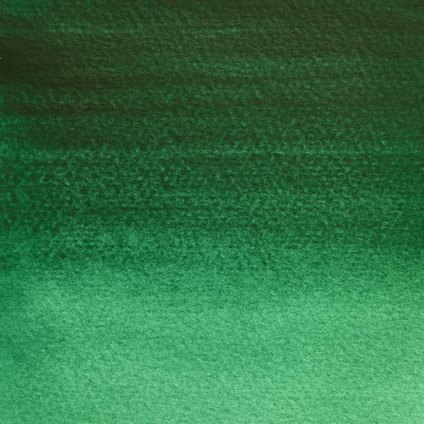 Peinture aquarelle - Vert Guignet - 696 - Extra-fine - Winsor et Newton - 14ml