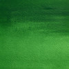 Peinture aquarelle professionnelle - Extra fine - Vert cinabre - 420 - Winsor et Newton - 5ml