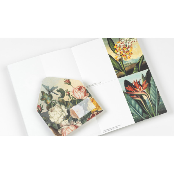 Cahier scrapbooking - Illustrations de fleurs - Cartes, enveloppes, autocollants - Pepin