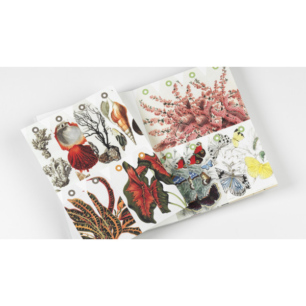 Cahier scrapbooking - Histoire naturelle - Cartes, enveloppes, autocollants - Pepin