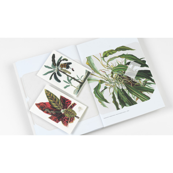 Cahier scrapbooking - Histoire naturelle - Cartes, enveloppes, autocollants - Pepin