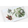 Cahier scrapbooking - Histoire naturelle - Cartes, enveloppes, autocollants - Pepin