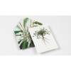 Cahier scrapbooking - Histoire naturelle - Cartes, enveloppes, autocollants - Pepin
